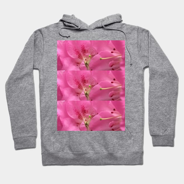 Up Close Azaleas Hoodie by Amanda1775